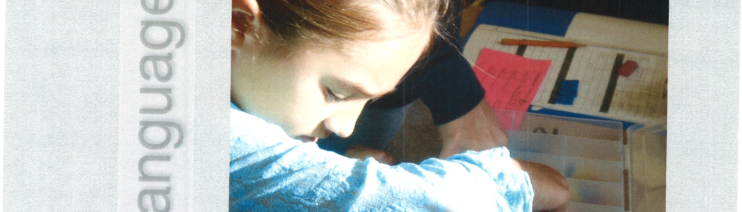 Photo of the cover of the Pollock Curriculum Design.